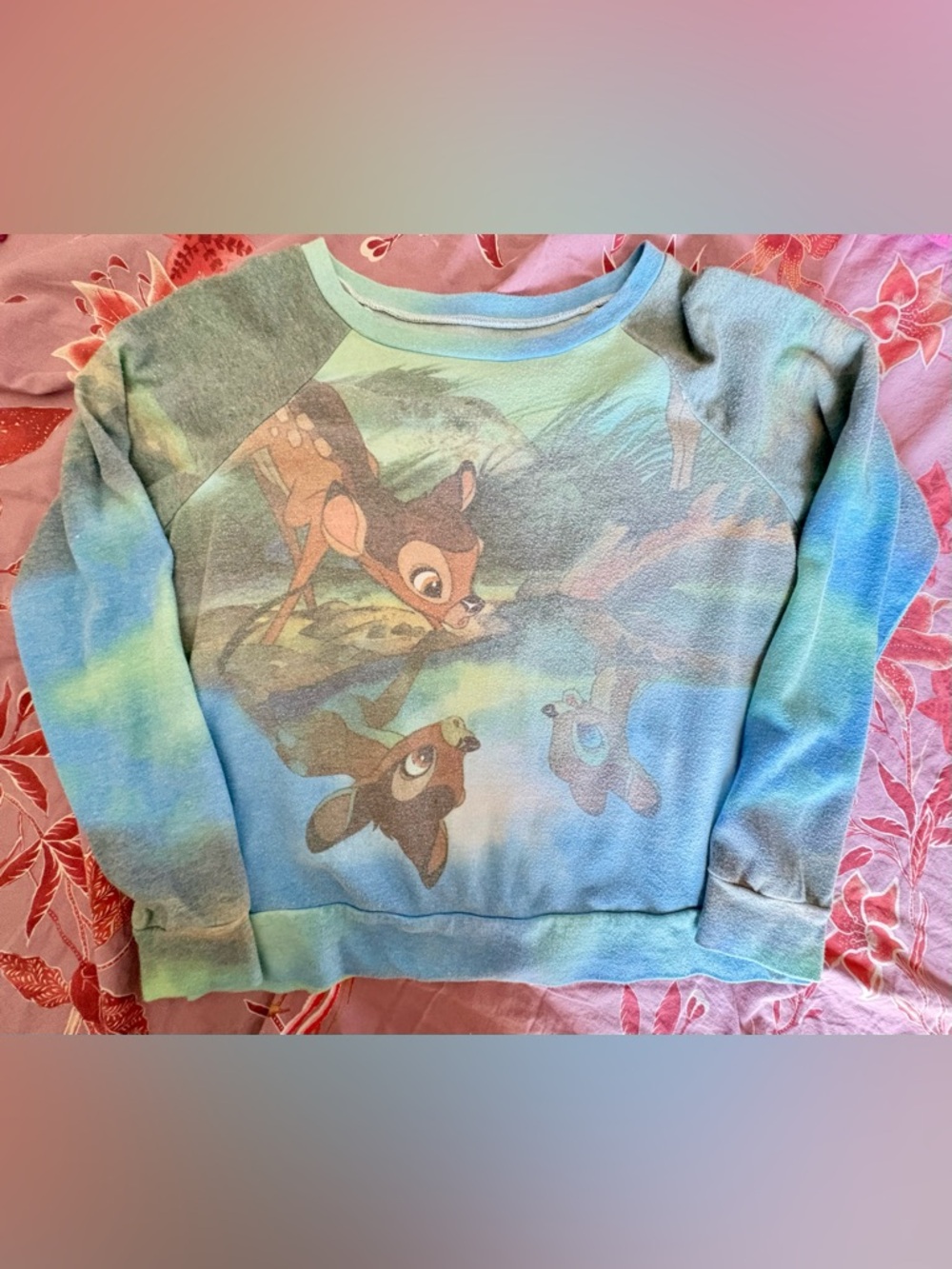 Disney Bambi Raglan Sweatshirt in Blue and Mint Green Reflection Pool
